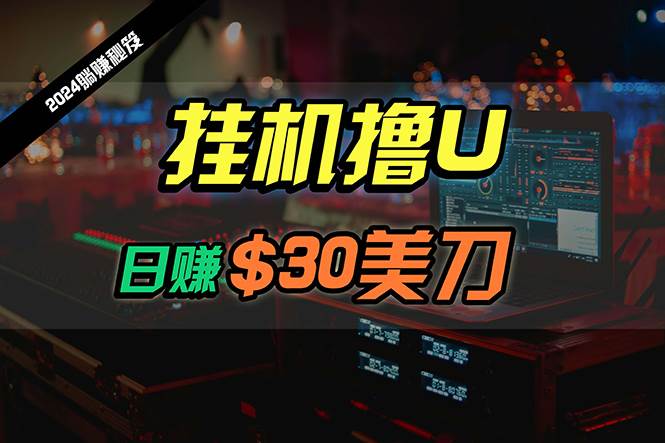 日赚30美刀，2024最新海外挂机撸U内部项目，全程无人值守，可批量放大-盈途副业网