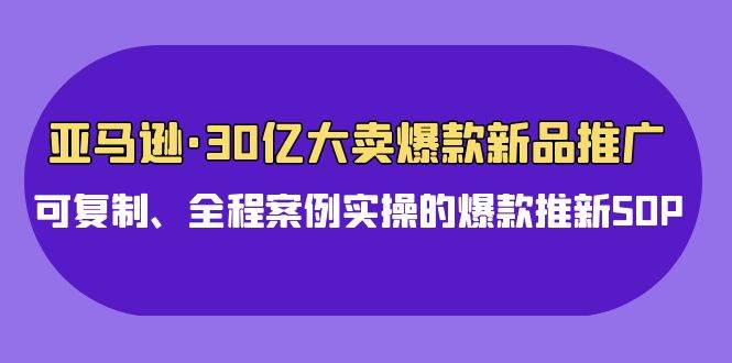 亚马逊30亿·大卖爆款新品推广，可复制、全程案例实操的爆款推新SOP-盈途副业网