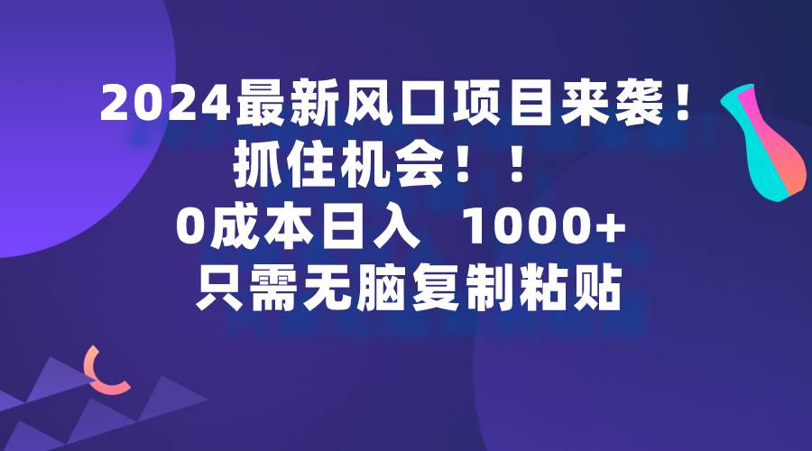 2024最新风口项目来袭，抓住机会，0成本一部手机日入1000+，只需无脑复…-盈途副业网