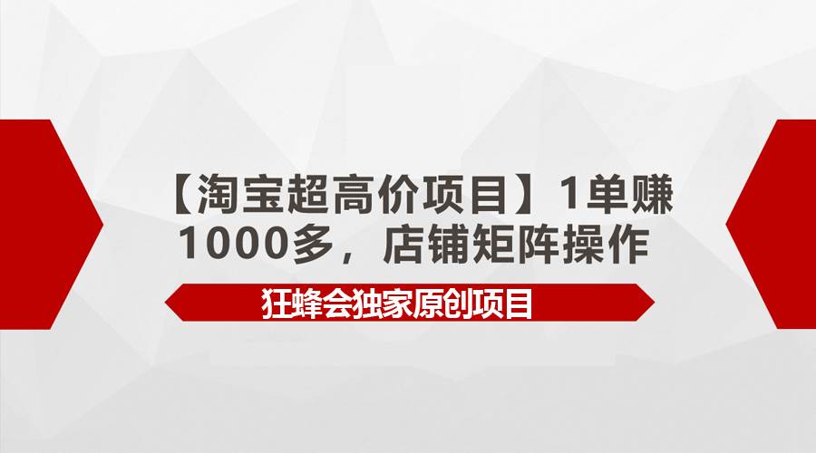 【淘宝超高价项目】1单赚1000多，店铺矩阵操作-盈途副业网