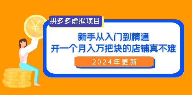拼多多虚拟项目：入门到精通，开一个月入万把块的店铺 真不难（24年更新）-盈途副业网