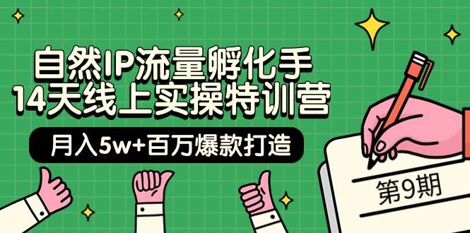 自然IP流量孵化手 14天线上实操特训营【第9期】月入5w+百万爆款打造 (74节)-盈途副业网