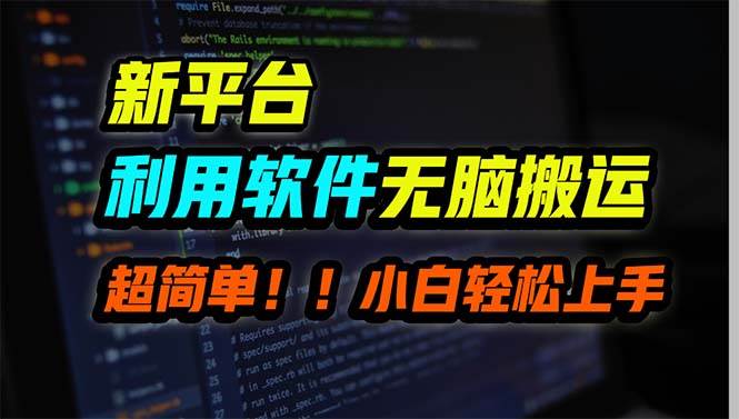 新平台用软件无脑搬运，月赚10000+，小白也能轻松上手-盈途副业网