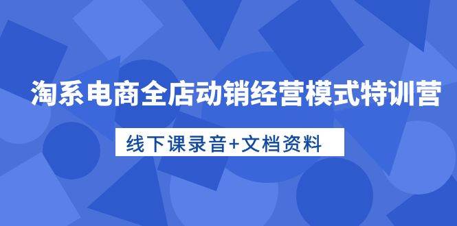 淘系电商全店动销经营模式特训营，线下课录音+文档资料-盈途副业网