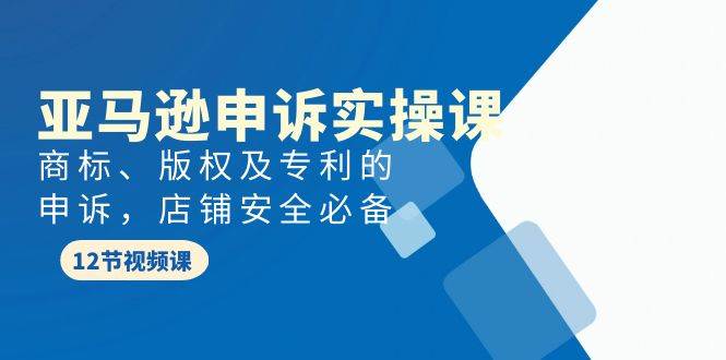 亚马逊-申诉实战课，商标、版权及专利的申诉，店铺安全必备-盈途副业网