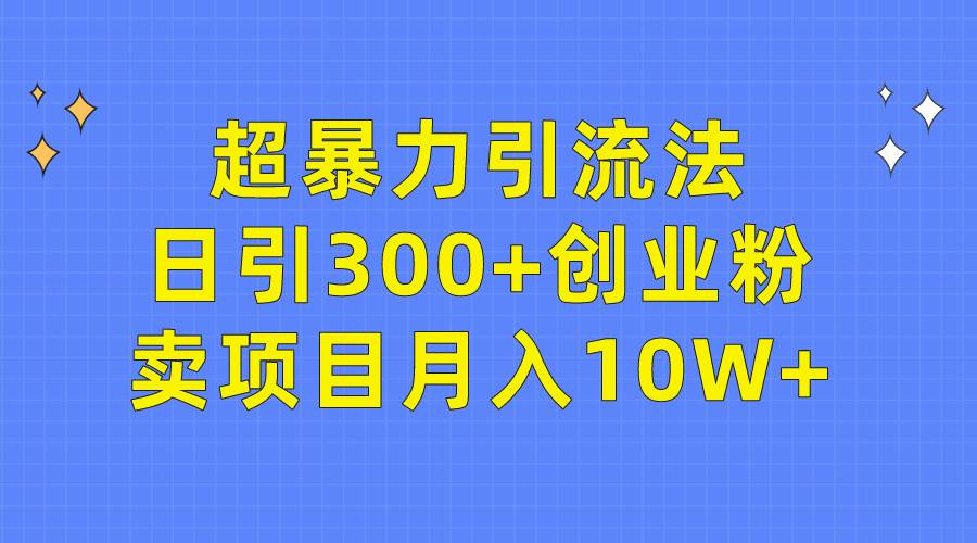 超暴力引流法，日引300+创业粉，卖项目月入10W+-盈途副业网