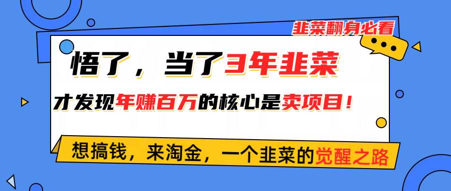 悟了，当了3年韭菜，才发现网赚圈年赚100万的核心是卖项目，含泪分享！-盈途副业网
