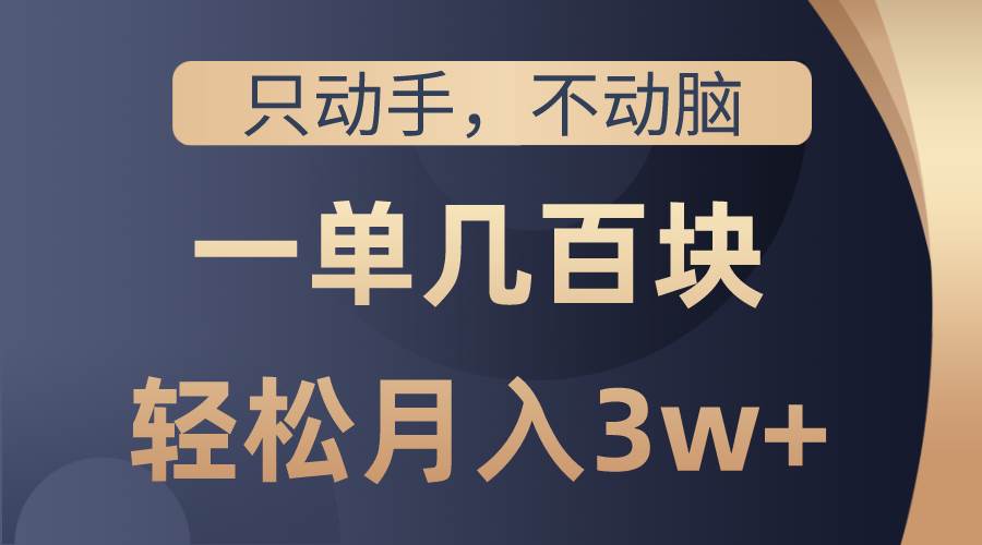 只动手不动脑，一单几百块，轻松月入3w+，看完就能直接操作，详细教程-盈途副业网