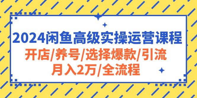 2024闲鱼高级实操运营课程：开店/养号/选择爆款/引流/月入2万/全流程-盈途副业网