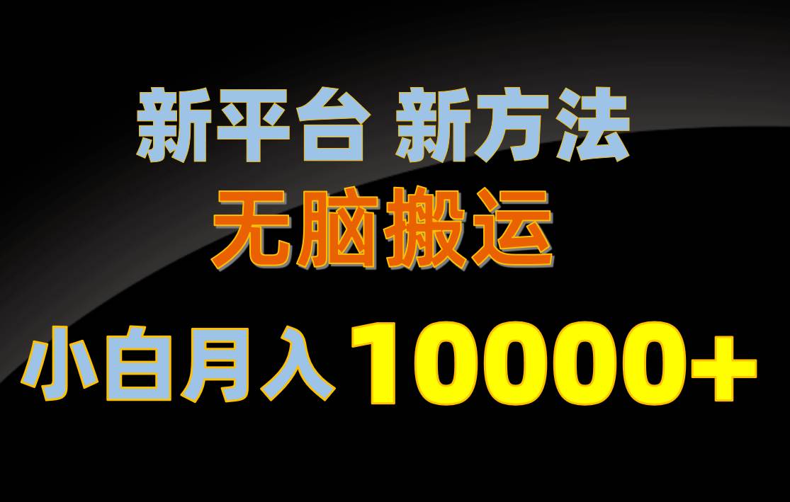 新平台新方法，无脑搬运，月赚10000+，小白轻松上手不动脑-盈途副业网