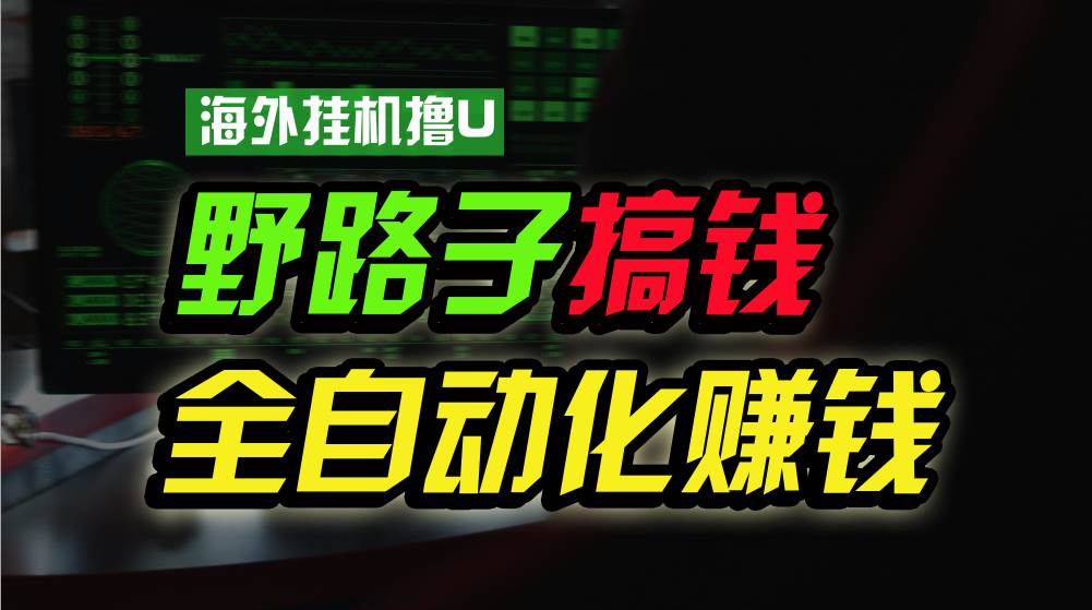 海外挂机撸U新平台，日赚8-15美元，全程无人值守，可批量放大，工作室内…-盈途副业网