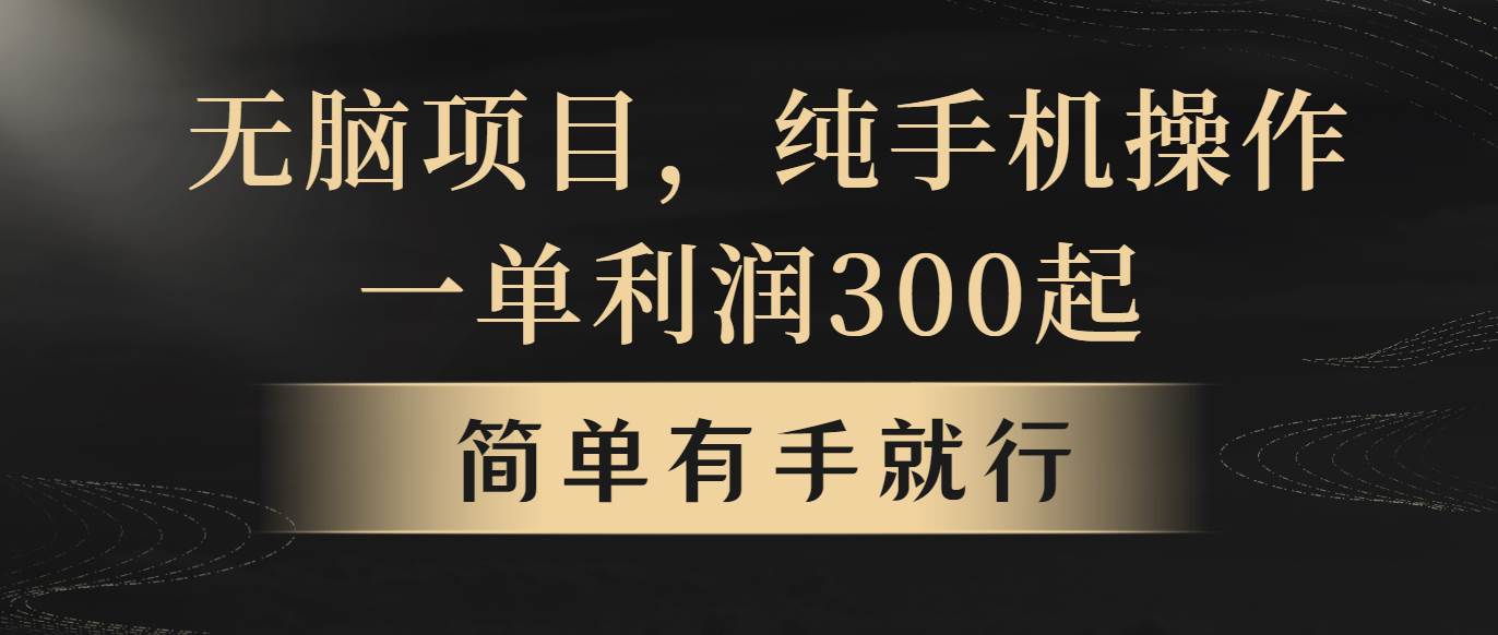 无脑项目，一单几百块，轻松月入5w+，看完就能直接操作-盈途副业网