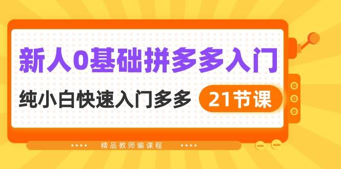 新人0基础拼多多入门，纯小白快速入门多多（21节课）-盈途副业网