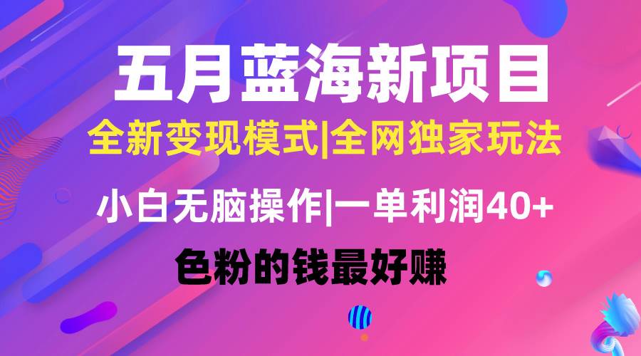 五月蓝海项目全新玩法，小白无脑操作，一天几分钟，矩阵操作，月入4万+-盈途副业网