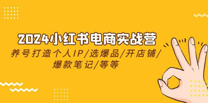 2024小红书电商实战营，养号打造IP/选爆品/开店铺/爆款笔记/等等（24节）-盈途副业网