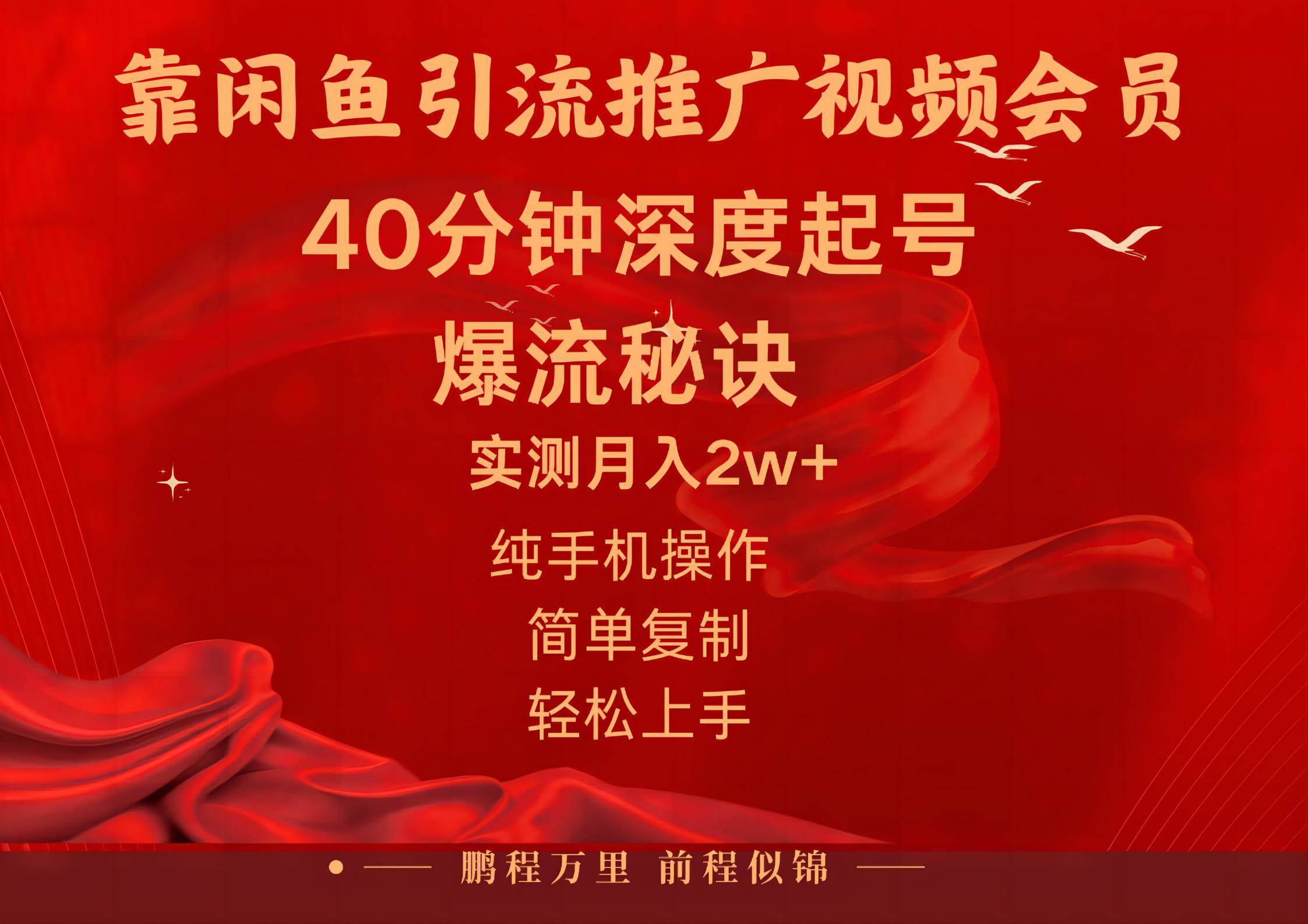 闲鱼暴力引流推广视频会员，能做到日入2W+，操作简单-盈途副业网