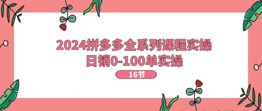 2024拼多多全系列课程实操，日销0-100单实操【16节课】-盈途副业网