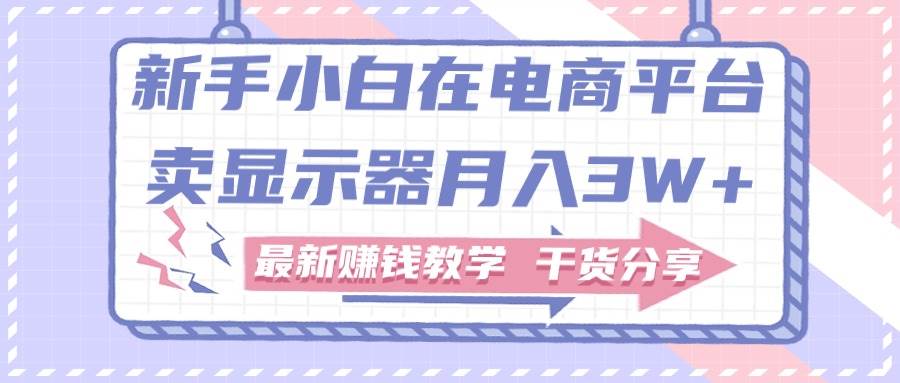 新手小白如何做到在电商平台卖显示器月入3W+，最新赚钱教学干货分享-盈途副业网
