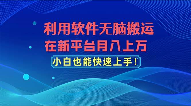 利用软件无脑搬运，在新平台月入上万，小白也能快速上手-盈途副业网