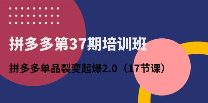 拼多多第37期培训班：拼多多单品裂变起爆2.0（17节课）-盈途副业网