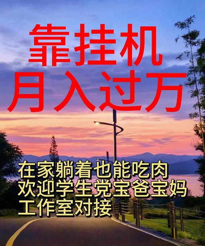 靠挂机，日入1000+，躺着也能吃肉，电脑手机都可挂-盈途副业网