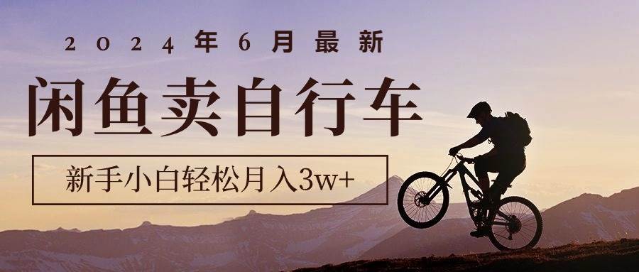 2024年6月最新闲鱼卖自行车，新手小白轻松月入3w+项目-盈途副业网
