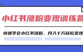 2024小红书涨粉变现训练营,快速学会小红书涨粉,月入十万轻松变现(40节)-盈途副业网
