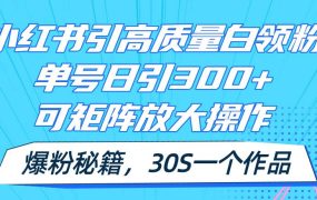 小红书引高质量白领粉,单号日引300+,可放大操作,爆粉秘籍!30s一个作品-盈途副业网