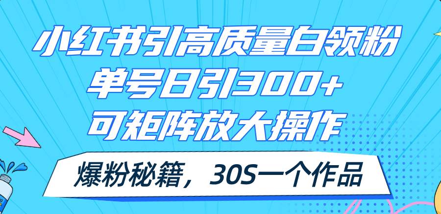 小红书引高质量白领粉，单号日引300+，可放大操作，爆粉秘籍！30s一个作品-盈途副业网