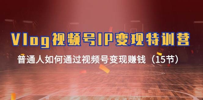 Vlog 视频号IP变现特训营，普通人如何通过视频号变现赚钱（15节）-盈途副业网
