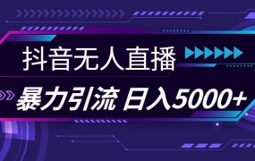 抖音无人直播,暴利引流,日入5000+-盈途副业网