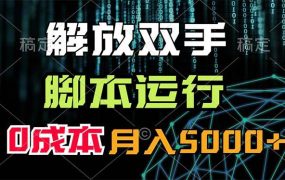 解放双手,脚本运行,0成本月入5000+-盈途副业网