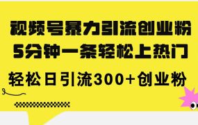 视频号暴力引流创业粉，5分钟一条轻松上热门，轻松日引流300+创业粉-盈途副业网