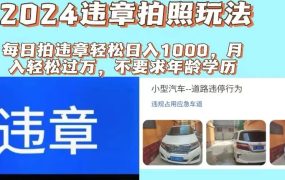 2024违章拍照新玩法，推广躺赚+拍照赚钱双模式，日入1000+-盈途副业网