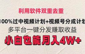 利用软件双重去重,100%过中视频+视频号分成计划小白也可以月入4W+-盈途副业网