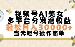 视频号AI美女,轻松月入30000+,操作简单轻松上手-盈途副业网
