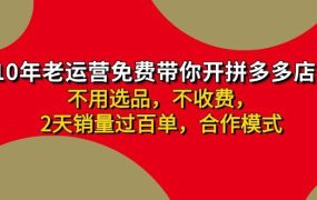 拼多多 最新合作开店日收4000+两天销量过百单,无学费、老运营代操作、...-盈途副业网