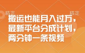 搬运也能月入过万,最新平台分成计划,一万播放一百米,一分钟一个作品-盈途副业网