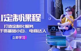 AI-定制课程,打造 定制化服务(针对于零基础小白、电商达人)36节课-盈途副业网