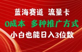蓝海赛道 流量卡 0成本 小白也能日入三位数-盈途副业网