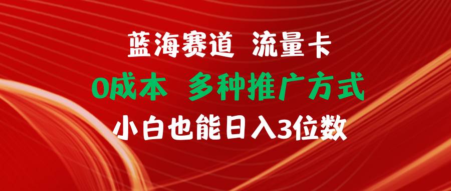 蓝海赛道 流量卡 0成本 小白也能日入三位数-盈途副业网