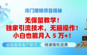 冷门赚钱项目无保留教学!独家引流技术,无脑操作!小白也能月入5万+!-盈途副业网