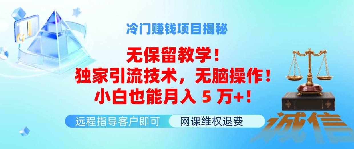 冷门赚钱项目无保留教学！独家引流技术，无脑操作！小白也能月入5万+！-盈途副业网