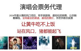 演唱会全网最低票务代理,小白一分钟上手,手把手教你卖票,日入2000+...-盈途副业网