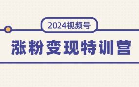 2024视频号-涨粉变现特训营:一站式打造稳定视频号涨粉变现模式(10节)-盈途副业网
