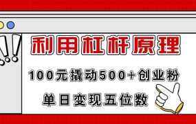 利用杠杆100元撬动500+创业粉,单日变现5位数-盈途副业网