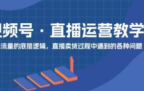 视频号 直播运营教学:直播流量的底层逻辑,直播卖货过程中遇到的各种问题-盈途副业网