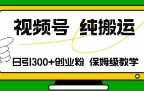 视频号纯搬运日引流300+创业粉,日入4000+-盈途副业网