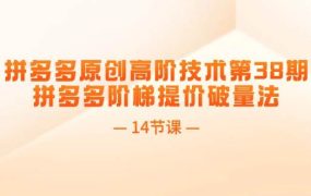 拼多多原创高阶技术第38期,拼多多阶梯提价破量法(14节课)-盈途副业网
