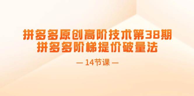 拼多多原创高阶技术第38期，拼多多阶梯提价破量法（14节课）-盈途副业网